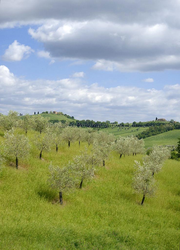12518_14_05_2012_torrita_di_siena_tuscany_italy_toscana_italien_spring_fruehling_scenic_outlook_viewpoint_panoramic_landscape_photography_panorama_landschaft_foto_63_4641x6436.jpg